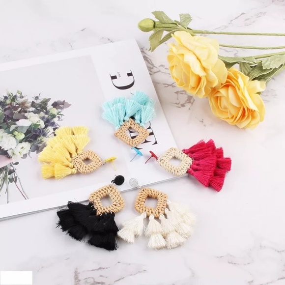 New Wooden Rattan Geometric Tassel Earrings - Picture 3 of 8